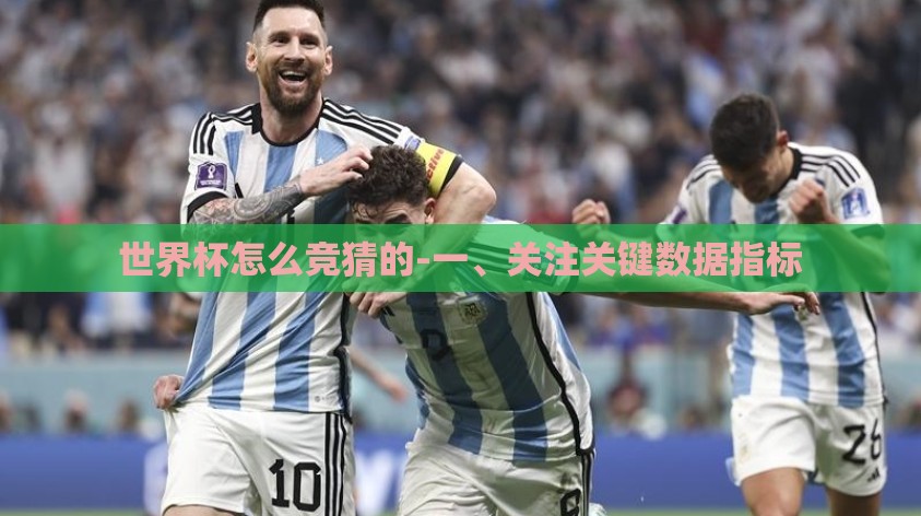 世界杯怎么竞猜的-一、关注关键数据指标 世界杯怎么竞猜的-一、关注关键数据指标