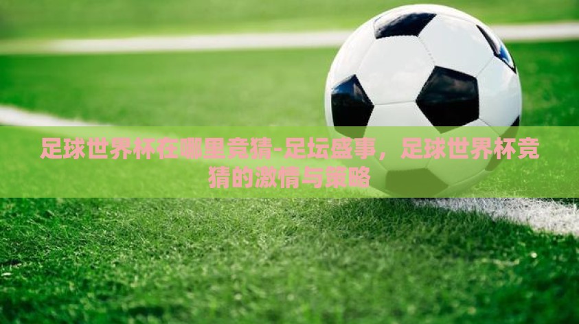 足球世界杯在哪里竞猜-足坛盛事,足球世界杯竞猜的激情与策略 足球世界杯在哪里竞猜-足坛盛事,足球世界杯竞猜的激情与策略