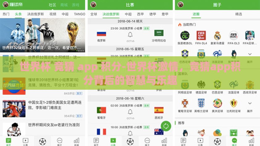 世界杯 竞猜 app 积分-世界杯激情，竞猜app积分背后的智慧与乐趣