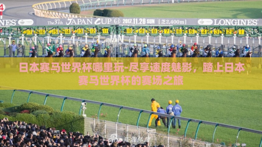 日本赛马世界杯哪里玩-尽享速度魅影,踏上日本赛马世界杯的赛场之旅 日本赛马世界杯哪里玩-尽享速度魅影,踏上日本赛马世界杯的赛场之旅